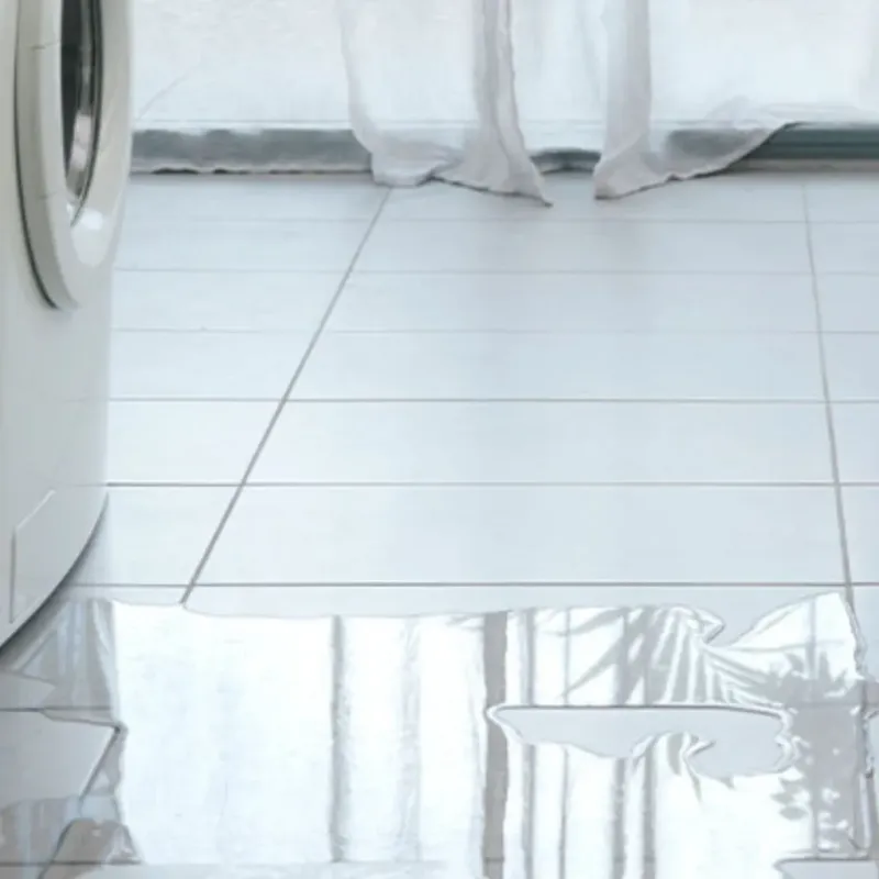 Appliance Leak Cleanup in Martin County, NC