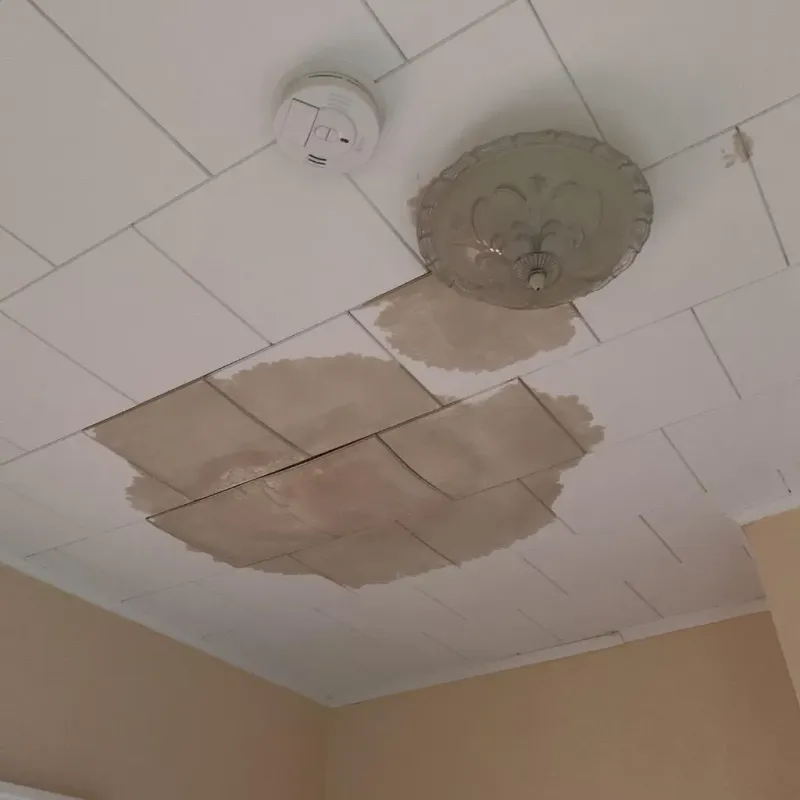 Ceiling Water Damage Repair in Martin County, NC