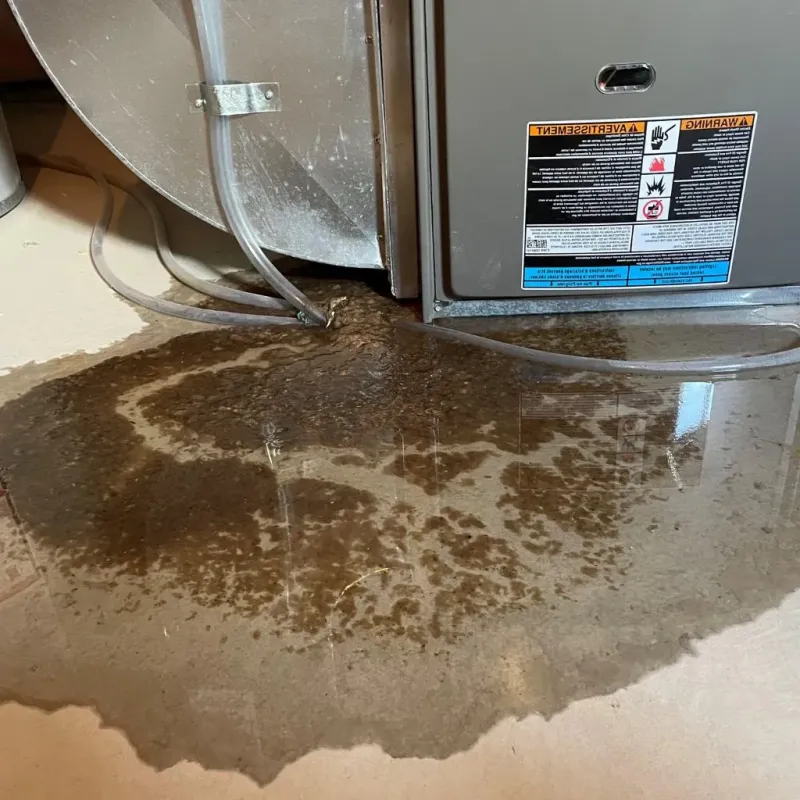 Pipe Burst and Leak Restoration in Martin County, NC