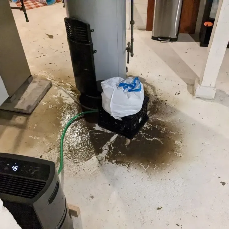 Sewage Backup Cleanup Service in Martin County, NC